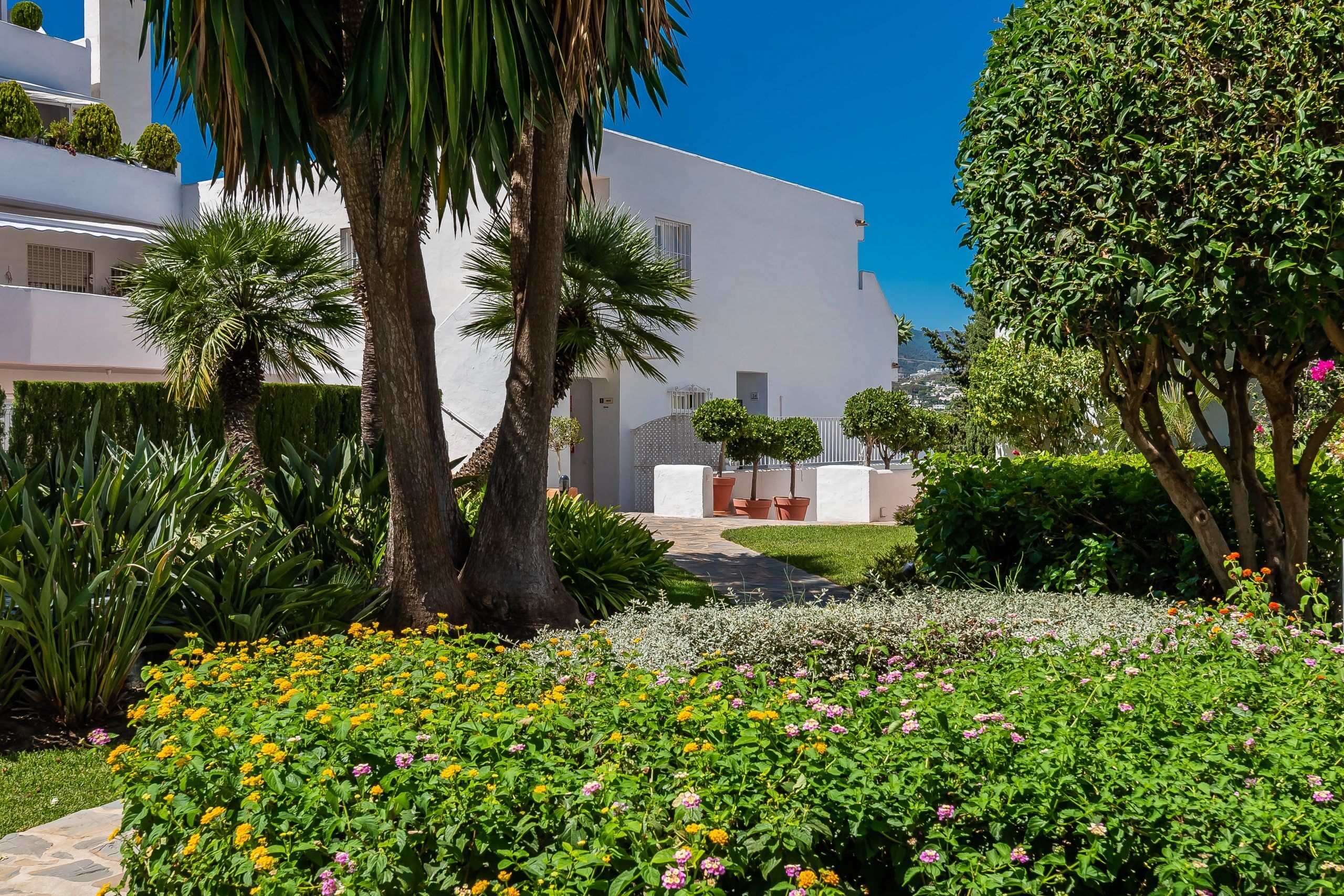 7e579f6e816dbc0084a75015272abc1e.Maya-Jardines-Andalucia-4-scaled